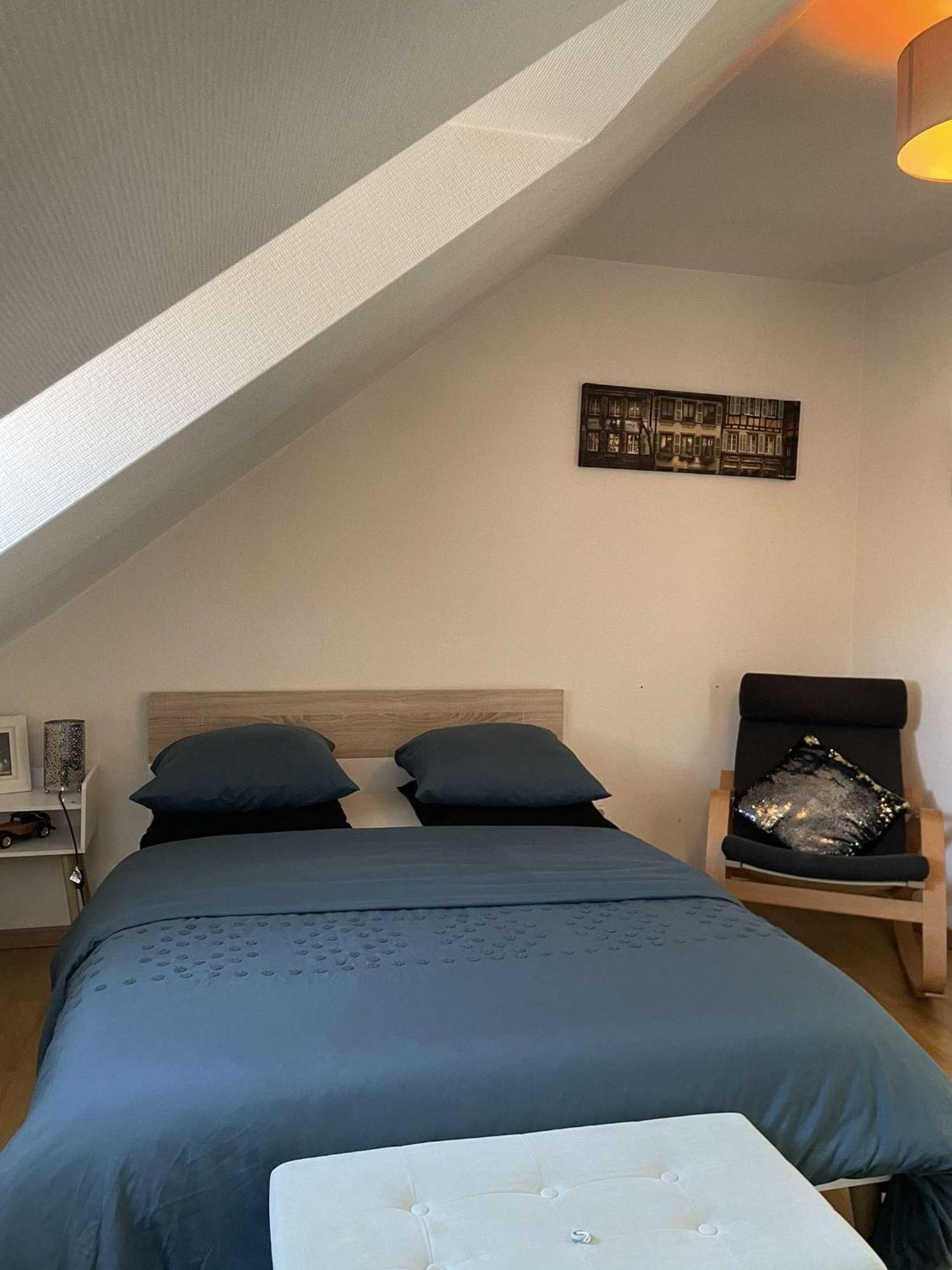 Joli Appartement Avec Place De Parking Prive Colmar Buitenkant foto